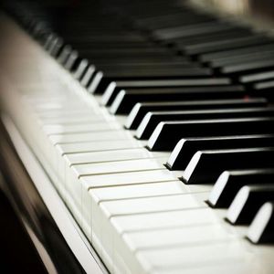 欧美zozozo人禽交
